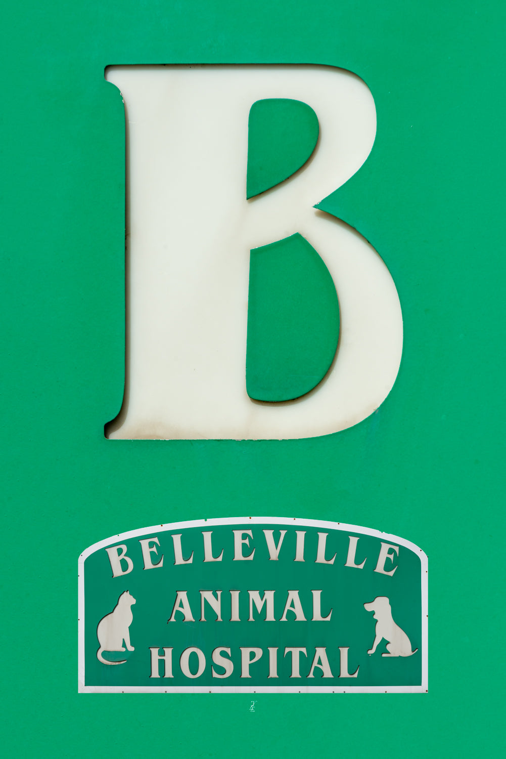 yll-b-belleville-3