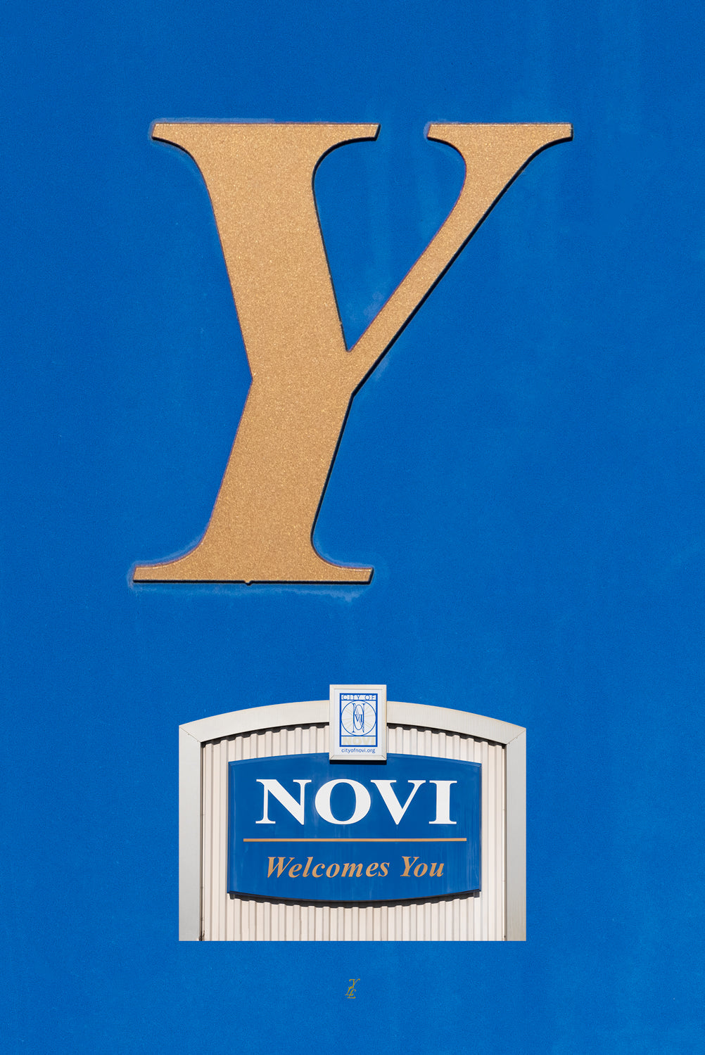 YLL-Y-NOVI-1
