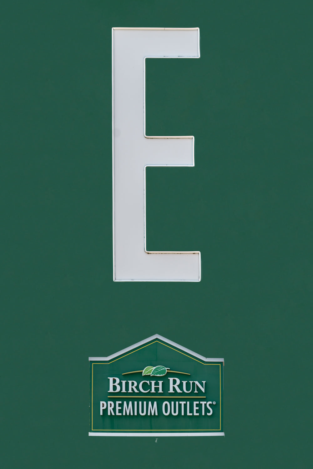 yll-e-birchrun-1
